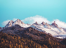 开云体育首页——尽享极致体育体验的第一站