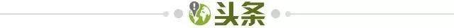 开云在线-【早报】意大利连续三届无缘世界杯！
